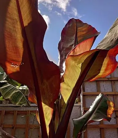 Self Contained Cabin, Firepit, Nr Mod Aztec, M5, M4 * Bristol