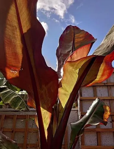 Self Contained Cabin, Firepit, Nr Mod Aztec, M5, M4 * Bristol