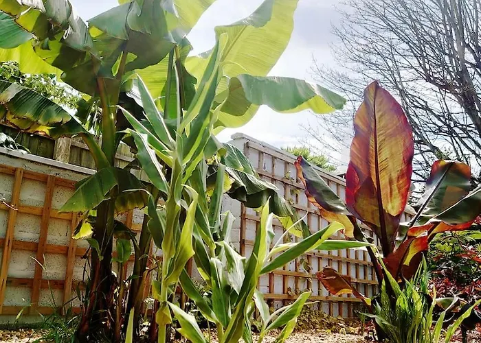 Self Contained Cabin, Firepit, Nr Mod Aztec, M5, M4 Bristol