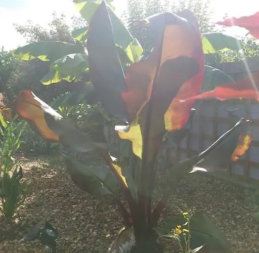 Self Contained Cabin, Firepit, Nr Mod Aztec, M5, M4 Apartman *