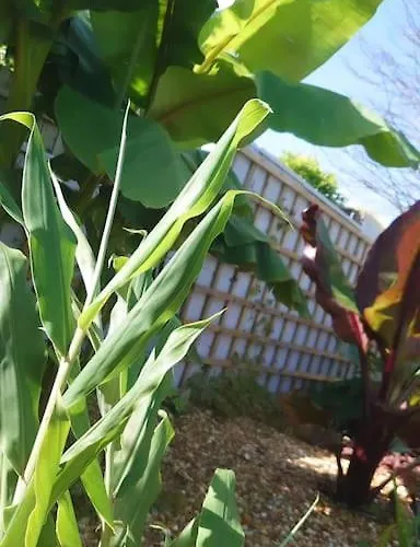 Apartman Self Contained Cabin, Firepit, Nr Mod Aztec, M5, M4 *