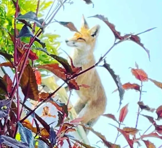 Self Contained Cabin, Firepit, Nr Mod Aztec, M5, M4 Apartman