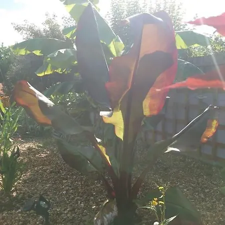 Self Contained Cabin, Firepit, Nr Mod Aztec, M5, M4 Apartamento *