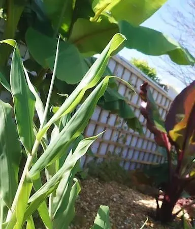 Lägenhet Self Contained Cabin, Firepit, Nr Mod Aztec, M5, M4 *