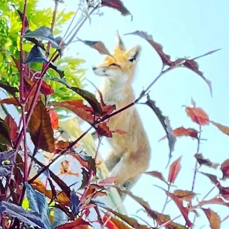 Self Contained Cabin, Firepit, Nr Mod Aztec, M5, M4 Apartamento