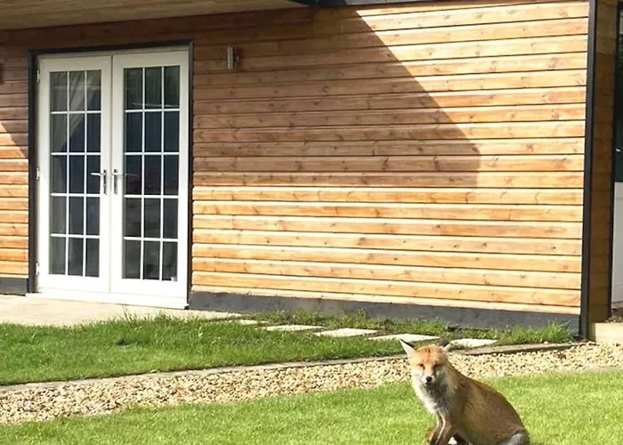 Self Contained Cabin, Firepit, Nr Mod Aztec, M5, M4 Bristol